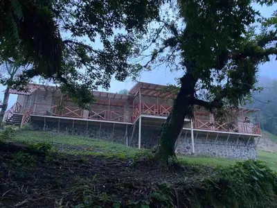 Jardín al aire libre en Anxelli Hermosa Cabaña en Bosque de Niebla
