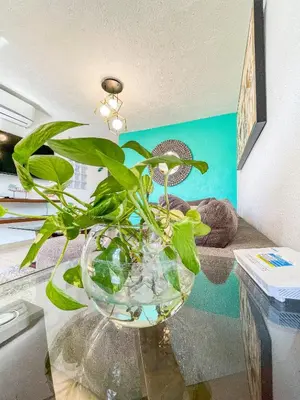 Zona de estar de Departamento Acapulco Diamante Roof Garden-Jacuzzi