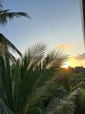 Amanecer o atardecer desde el apartamento o alrededores