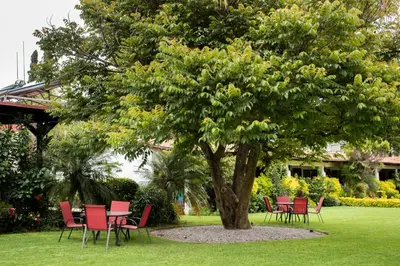 Jardín al aire libre en Posada La Presa