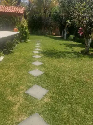Jardín al aire libre en Rest house Yautepec Bonito Private