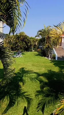 Jardín al aire libre en Hotel Iguanas