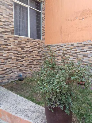 Jardín al aire libre en Casa Sierra
