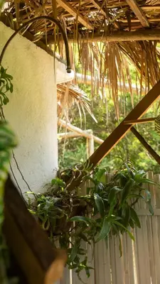 Jardín al aire libre en Casa Magia