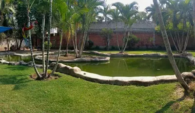 Jardín al aire libre en Lago24 Habitaciones