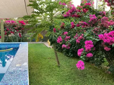 Jardín al aire libre en hotel las olas zicatela