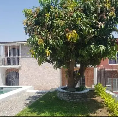 Edificio en el que se encuentra la casa o chalet