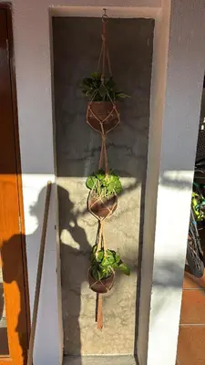 Plano de Casa nueva en Lomas de Cocoyoc, alberca climatizada, PET friendly