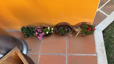 Jardín al aire libre en Casa nueva en Lomas de Cocoyoc, alberca climatizada, PET friendly