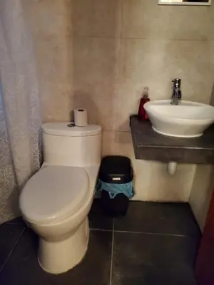 Un baño de Cuartito Modesto del precioso