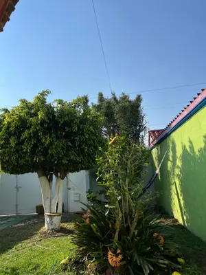 Jardín al aire libre en Casa Rústica los Arcos