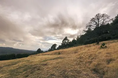 Paisaje cerca de este apartamento