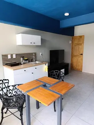 Una cocina o zona de cocina en El Árbol Plaza Suites - Agua