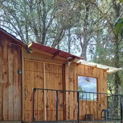 Cabaña Roca de Guia