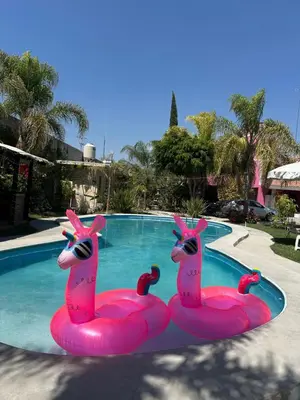 Piscina en o cerca de Hotel Pink TH