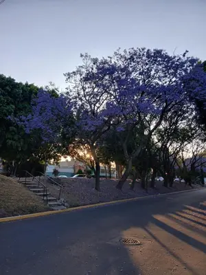 Plano de Residencia El Navegante 1