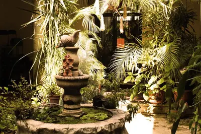 Jardín al aire libre en Hostal Luz de Luna Nuyoo