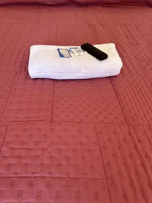 Plano de casa regina