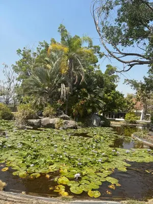 Jardín al aire libre en Casa del río para disfrutar