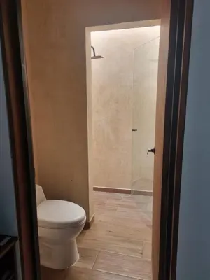 Un baño de House in Cuernavaca near Teques