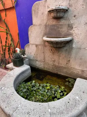 Plano de La Casa del Arbol
