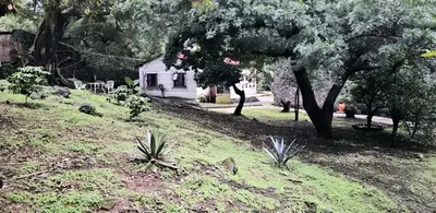 Plano de More 4