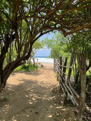 Paisaje cerca de este apartamento