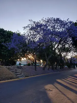 Plano de Residencia El navegante 2