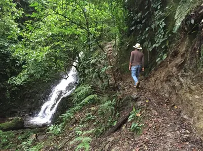 Paisaje cerca de este apartamento