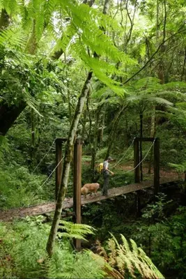 Paisaje cerca de este apartamento