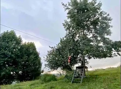 Paisaje cerca de este apartamento