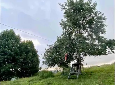 Paisaje cerca de este apartamento