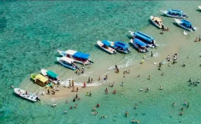 Clientes alojados en Isla del amor Departamento para 7 vista al mar alberca y embarcadero