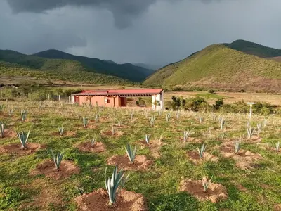 Paisaje cerca de este apartamento