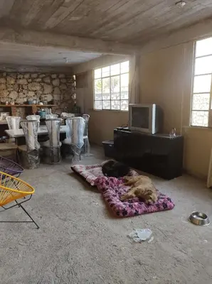 Una televisión o centro de entretenimiento en Nada y acampa con tus perritos