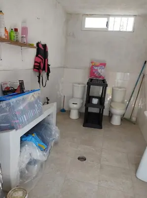 Un baño de Nada y acampa con tus perritos