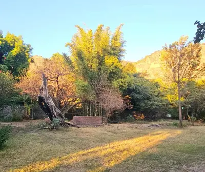 Paisaje cerca de esta casa o chalet