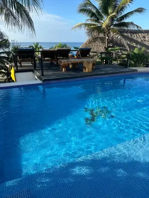 Piscina en o cerca de Beachfront Paradise Boutique Hotel - Breeze Room ll