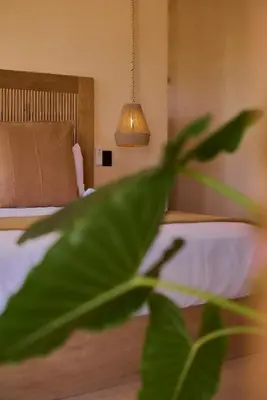 Plano de Casa Cambria