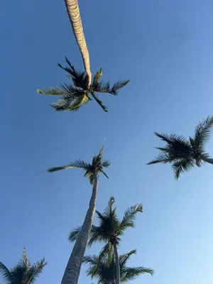 Plano de Casanar energía Sanadora frente al mar