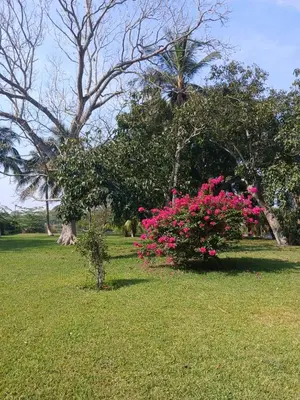 Jardín al aire libre en Villa La Antigua