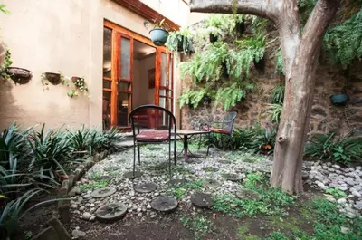 Jardín al aire libre en Orchidelirium Casa Hotel & Salud Estética