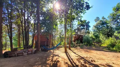 Jardín al aire libre en Cabañas en el Bosque de San José del Pacífico 5
