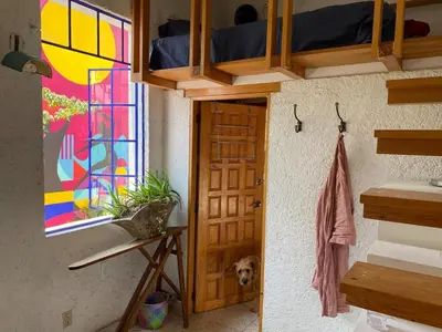 Plano de Sustainable Home - Casa Vecindad Murals
