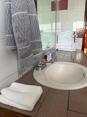 Un baño de Departamento Sencillo Foro Sol GNP y Aeropuerto