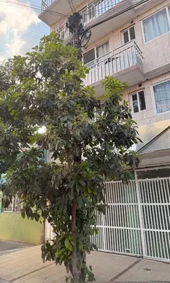 Edificio en el que se encuentra el apartamento