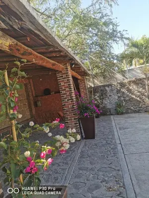 Jardín al aire libre en Casa Amor'e