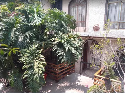 Jardín al aire libre en Casa en Xochimilco para 5 personas ideal para el Mundial 2026