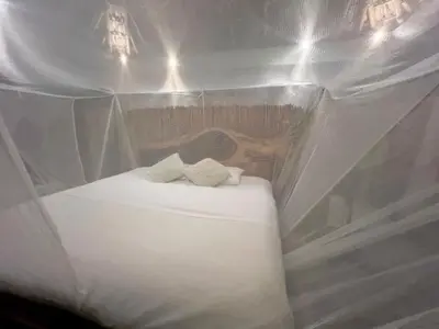Cama o camas de una habitación en La casa de los árboles frente a la playa con alberca