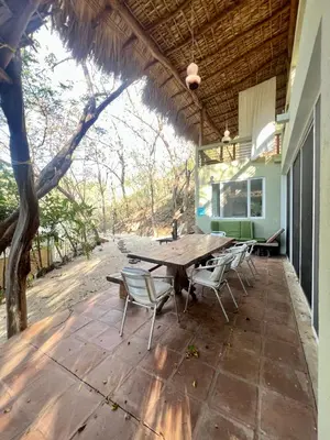 Jardín al aire libre en Casa Pauline Beach house habitaciones con acceso directo a playa y alberca